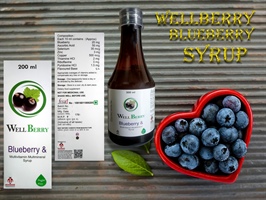 WELLBERRY      (SUGAR FREE)